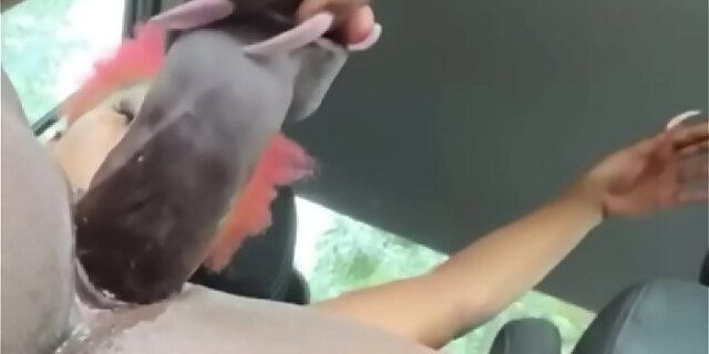 big cock,black,car,dildo,ebony,ebony squirt,fetish,moaning,outdoor,public,sex,shaved,squirt,toys